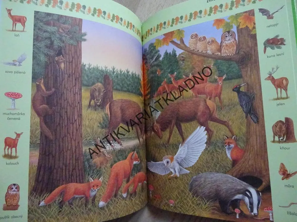 ZVÍŘÁTKA KOLEM NÁS, ČTENÍ O ZVÍŘÁTKÁCH S VELKÝMI PÍSMENY, **an