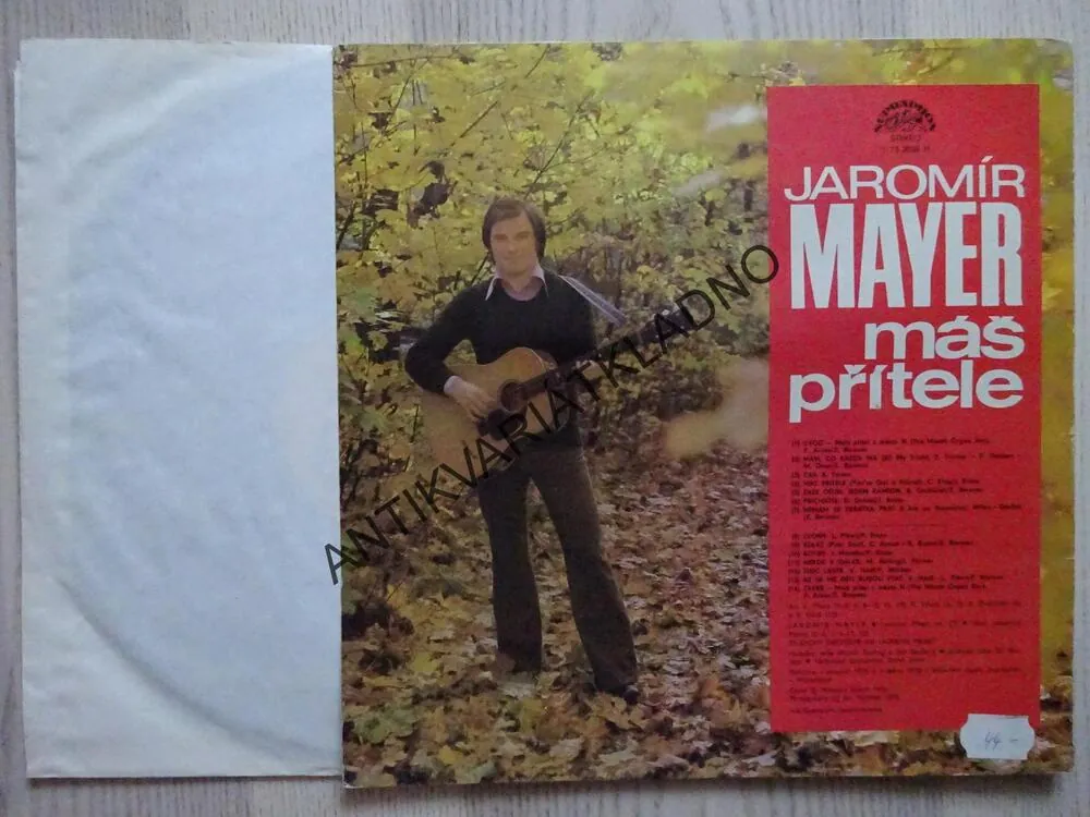JAROMÍR MAYER, MÁŠ PŘÍTELE, LP