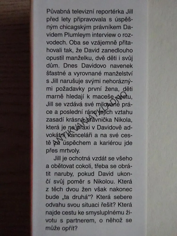 TA DRUHÁ, JOY FIELDINGOVÁ, **an
