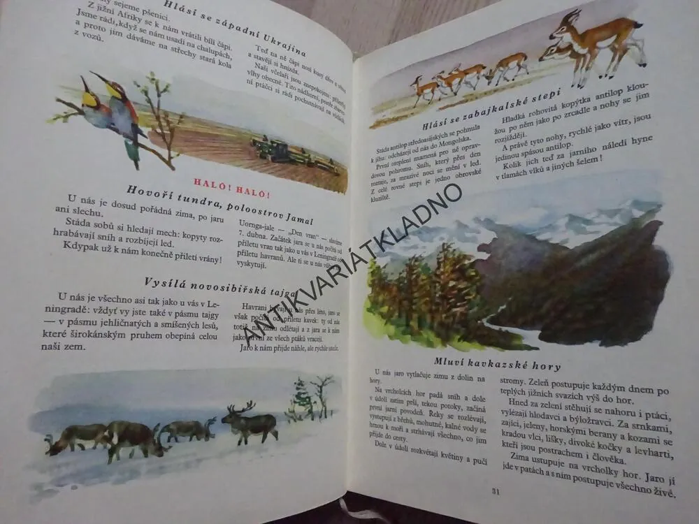 LESNÍ NOVINY NA KAŽDÝ ROK, VITALIJ BIANKI, **an