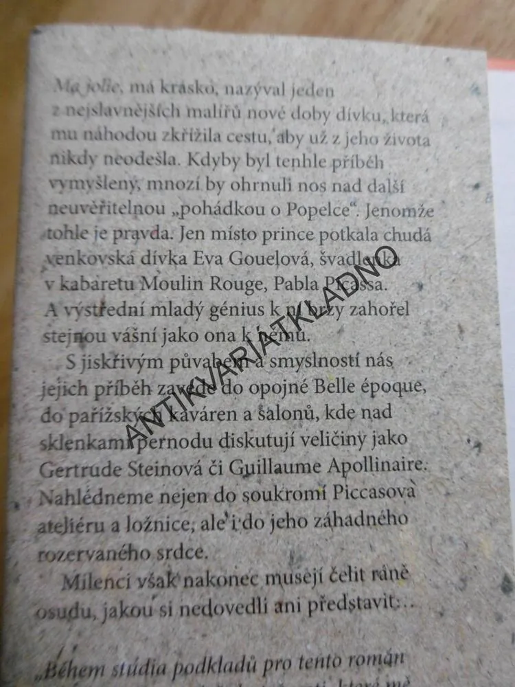 MADAME PICASSO, ANNE GIRARDOTOVÁ