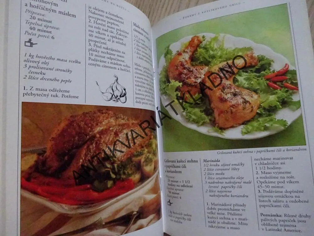 POKRMY NA ROŠTU, ANNE WILSONOVÁ, **an