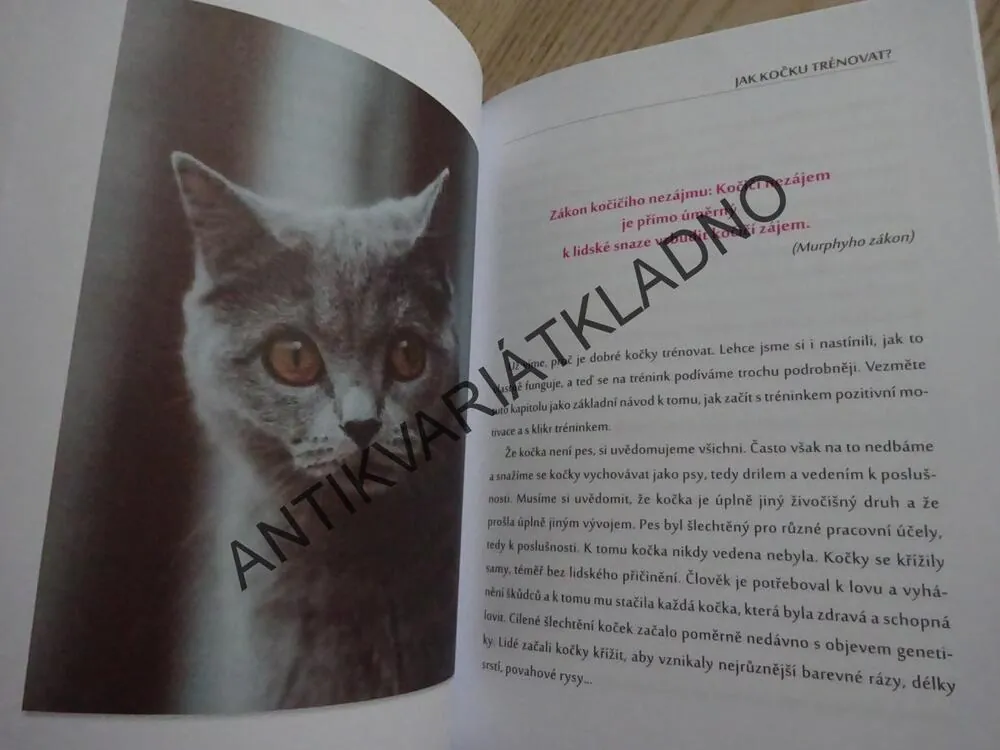 ČLOVĚK V KOČIČÍM SVĚTĚ, KLÁRA NEVEČEŘALOVÁ VODIČKOVÁ, **an