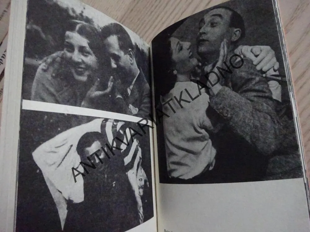 LJUBA JAKO VYSTŘIŽENÁ, ONDŘEJ SUCHÝ, OLDŘICH DUDEK, **an