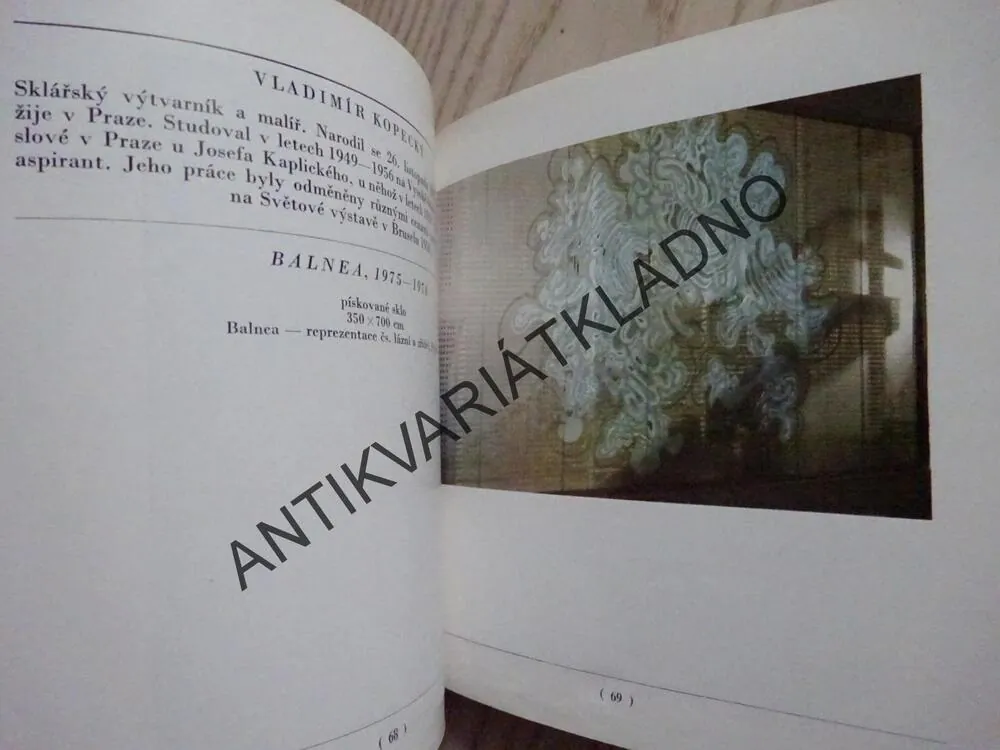 SOUČASNÁ MONUMENTÁLNÍ TVORBA, PAVLA DVORSKÁ, **an