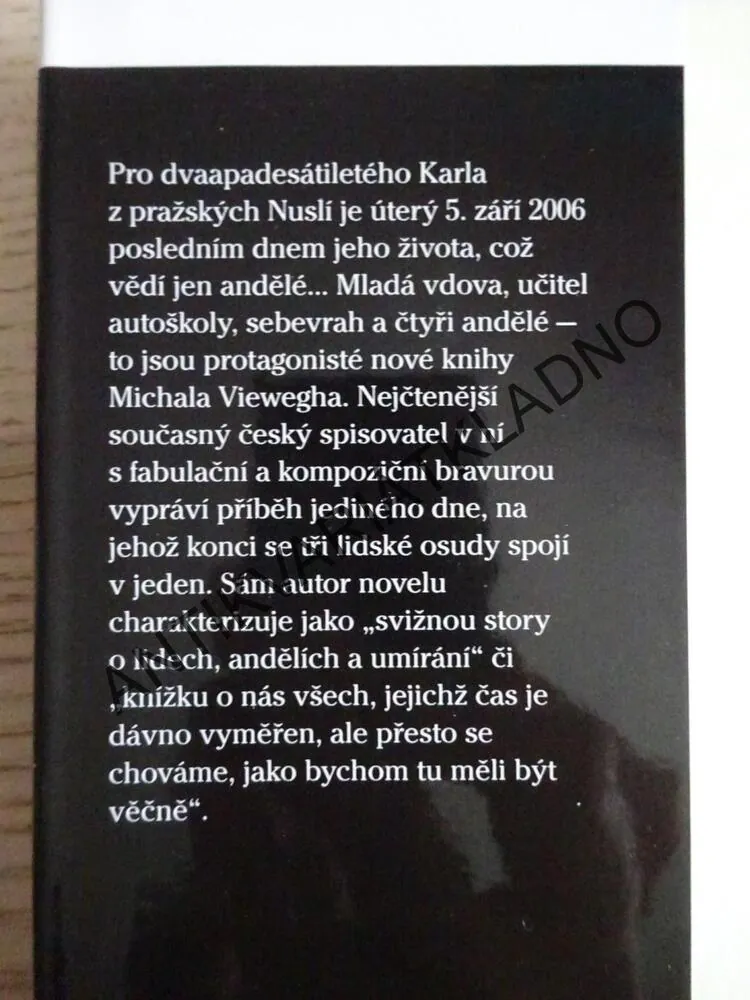 ANDĚLÉ VŠEDNÍHO DNE, MICHAL VIEWEGH, **an