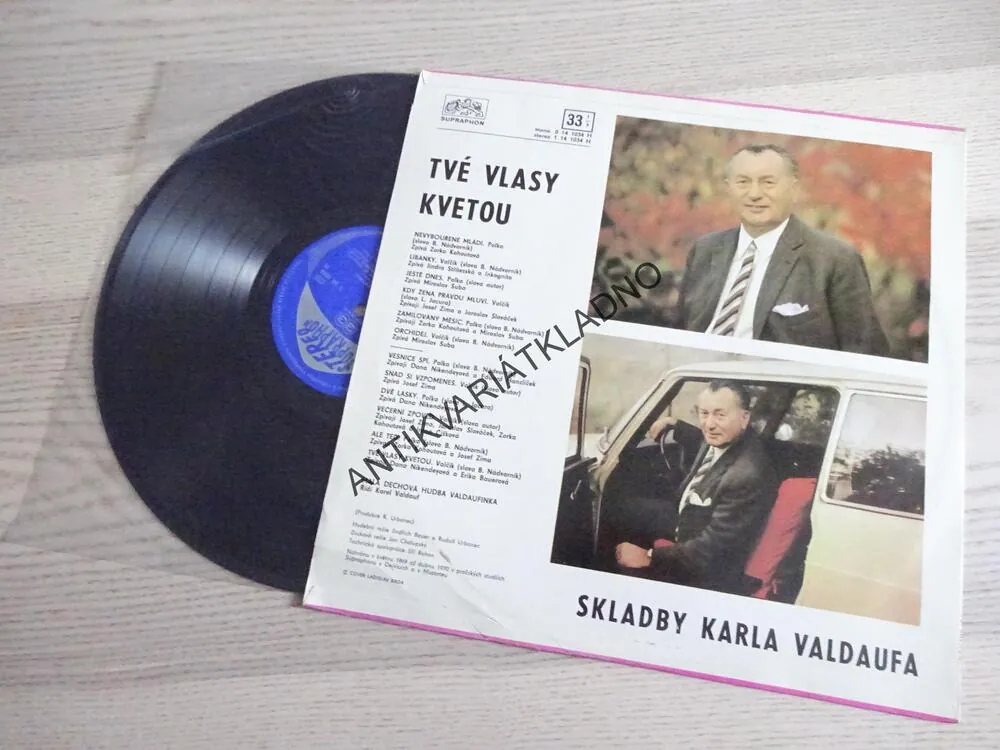 VALDAUFINKA, LIDOVÉ PÍSNĚ, LP