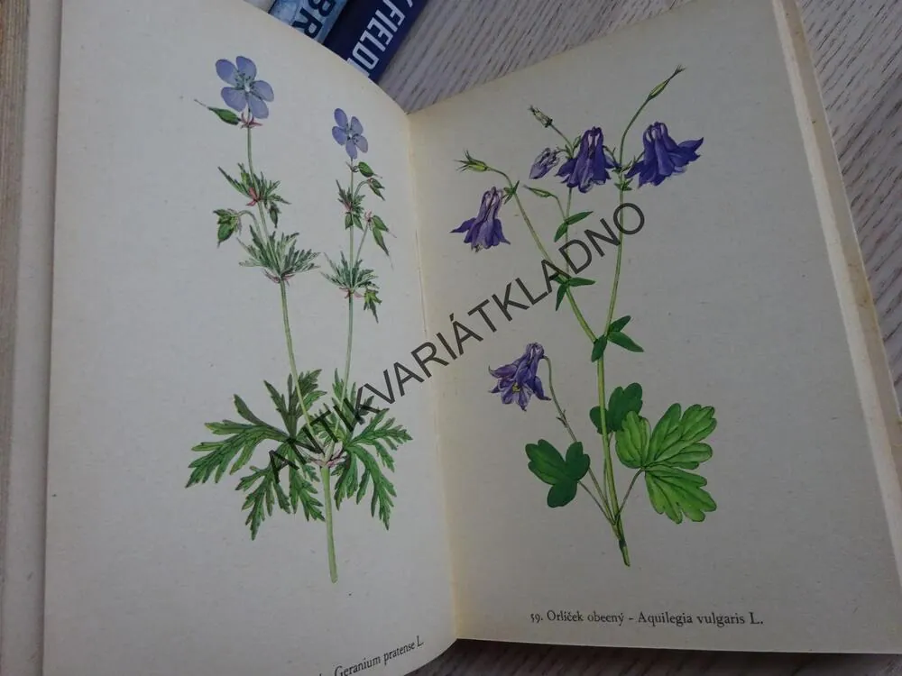 ROSTLINY 1, FRANTIŠEK A. NOVÁK, KAREL SVOLINSKÝ, **an