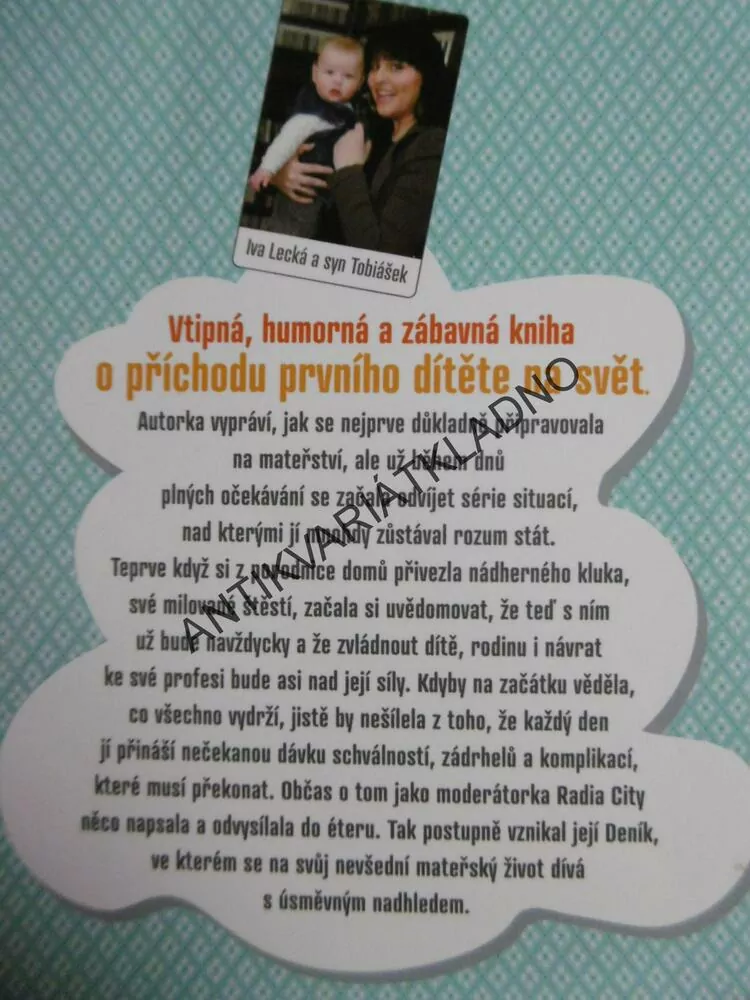 DENÍK ŠÍLENÉ MATKY ANEB ŽENSKÁ VYDRŽÍ JAKO KŮŇ, IVA LECKÁ, **an