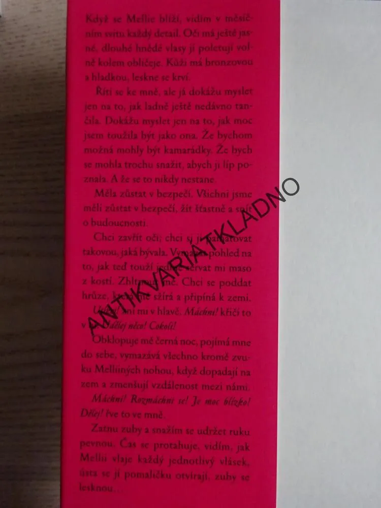 VLNY ZMÍTANÉ SMRTÍ, CARRIE RYANOVÁ, **an