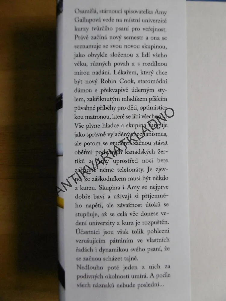 KURZ TVŮRČÍHO PSANÍ, DETEKTIVNÍ ROMÁN, JINCY WILLETTOVÁ, **an