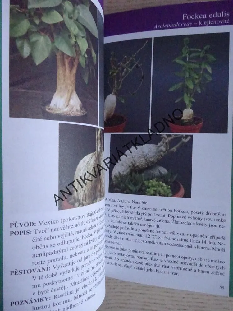 ATLAS SUKULENTŮ DO KAPSY, JIŘÍ JANDA, **an