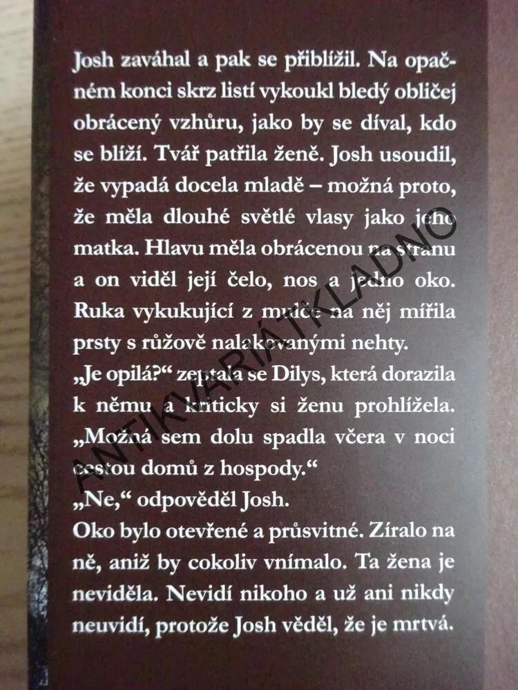 NEDOKONČENÁ VRAŽDA, ANN GRANGER, **an