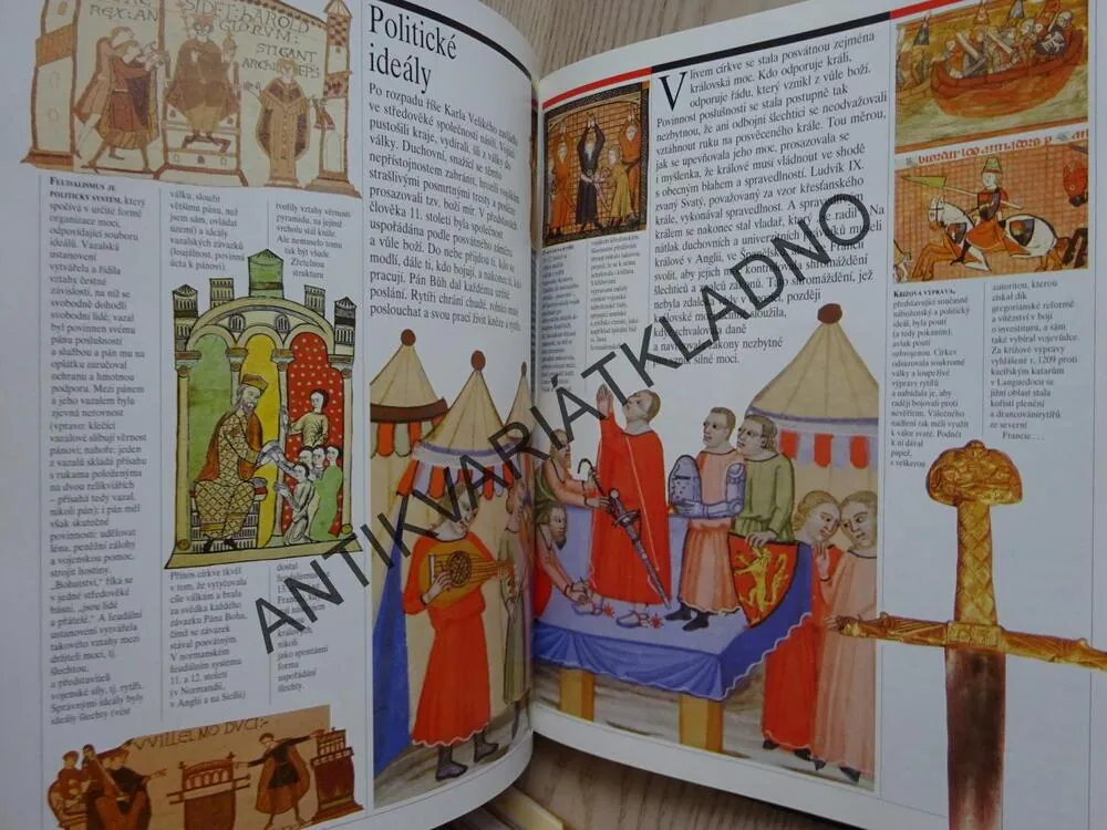 VE STÍNU STŘEDOVĚKÝCH HRADŮ, TÝM AUTORŮ, **an