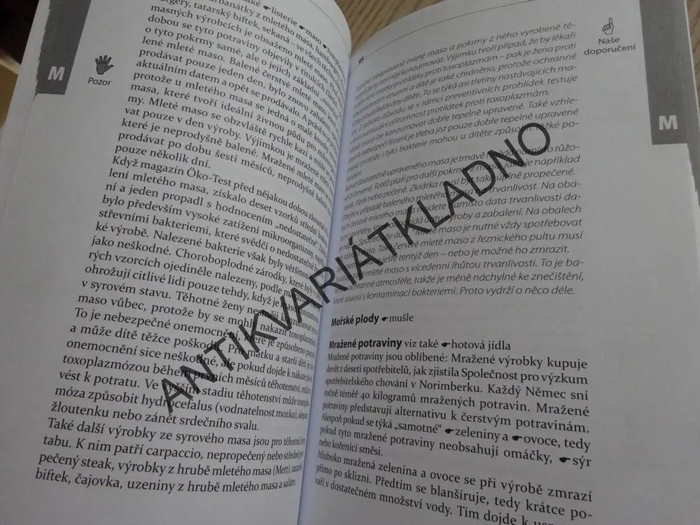 ZDRAVÁ VÝŽIVA PRO TĚHOTNÉ A KOJÍCÍ MATKY, ANNETTE SABERSKY, **an