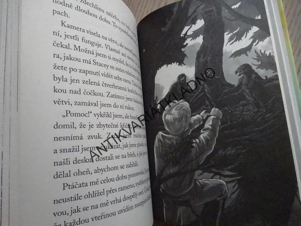 PŘEŽILI JSME! PŘES PALUBU,, TERRY LYNN JOHNSONOVÁ, **an