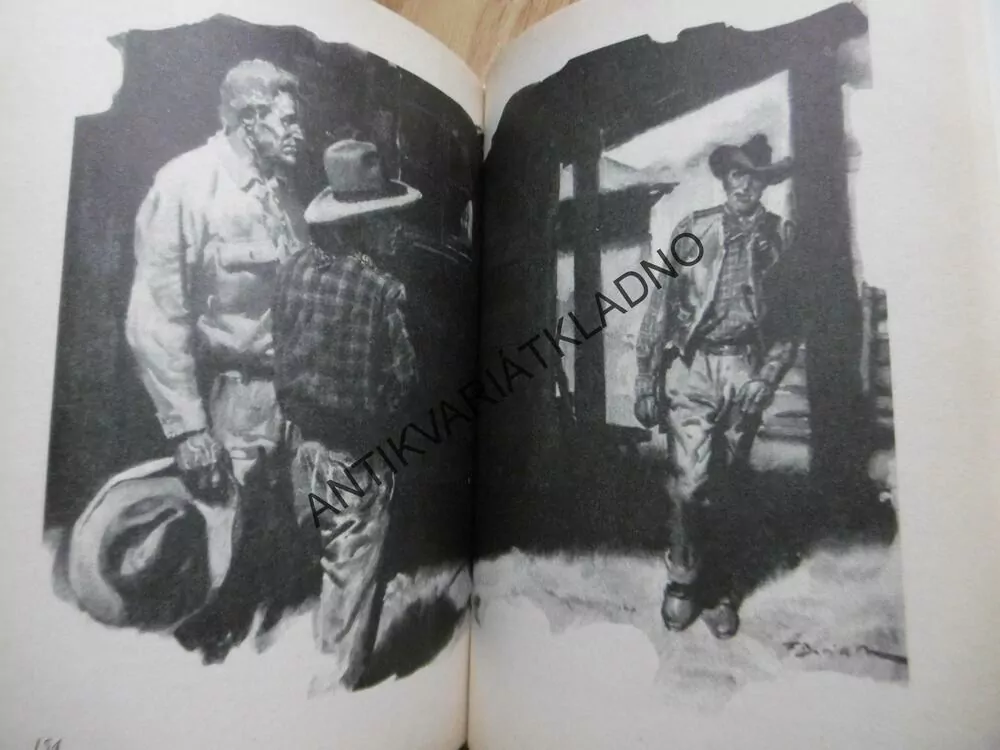 KAMARÁD ZE SLUNEČNÍHO KAŇONU, FRANTIŠEK LEV, BURIAN, **an