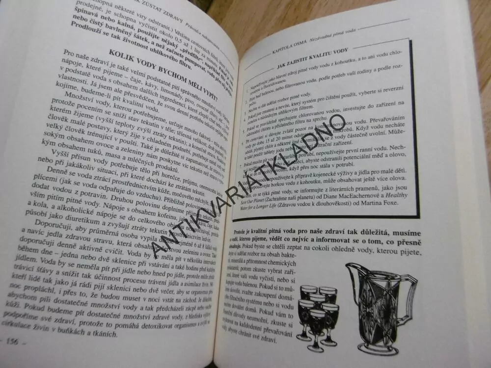JAK ZŮSTAT ZDRAVÝ, PRŮVODCE NAKUPOVÁNÍM, ELSON M.HAAS