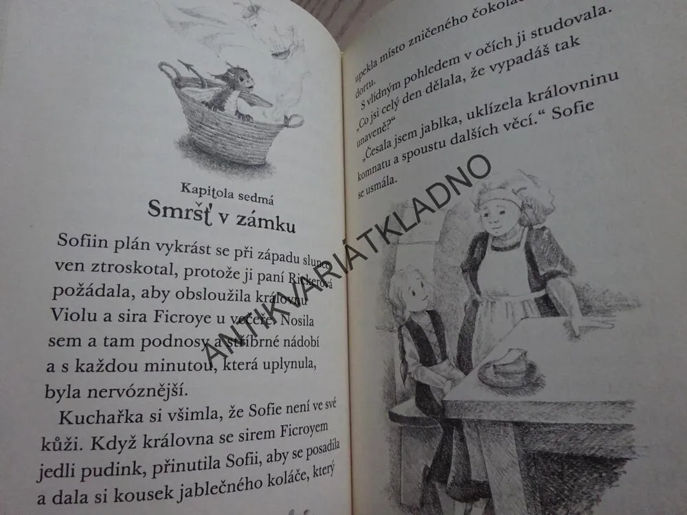 TAJEMNÍ ZACHRÁNCI, BOUŘKOVÝ DRAK, PAULA HARRISONOVÁ, **an