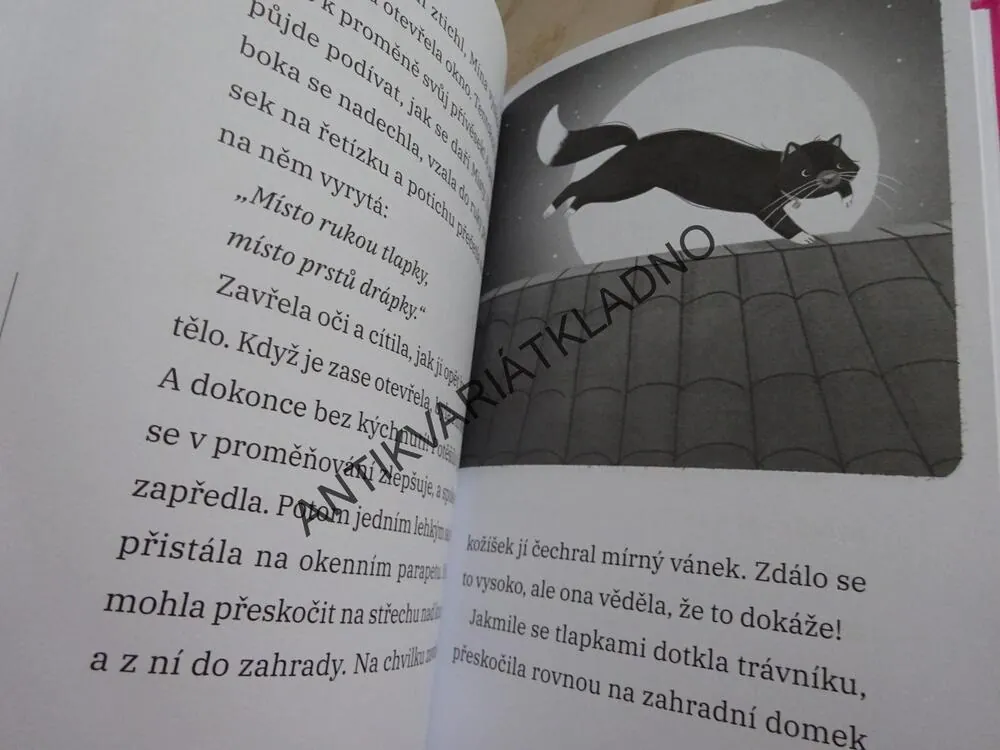 MÍNA A KOČKY, MALÁ MISTY SE BOJÍ, ELLY MOONHEARTOVÁ, **an