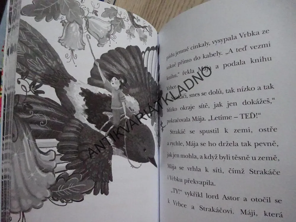 KOUZELNÉ PTAČÍ KRÁLOVSTVÍ, SPÍCÍ KOLIBŘÍCI, ANNE BOOTHEOVÁ, **an