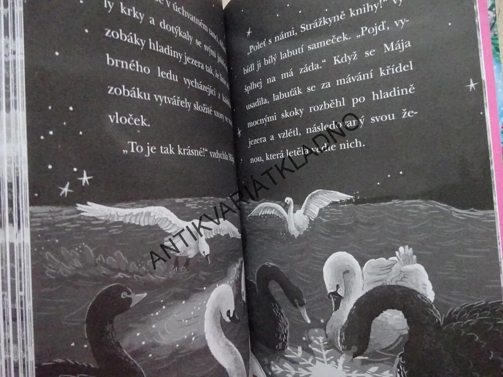 KOUZELNÉ PTAČÍ KRÁLOVSTVÍ, LEDOVÉ PROKLETÍ, ANNE BOOTHEOVÁ, **an