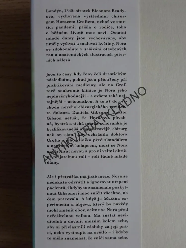 V JEHO STÍNU, AUDREY BLAKE, **an