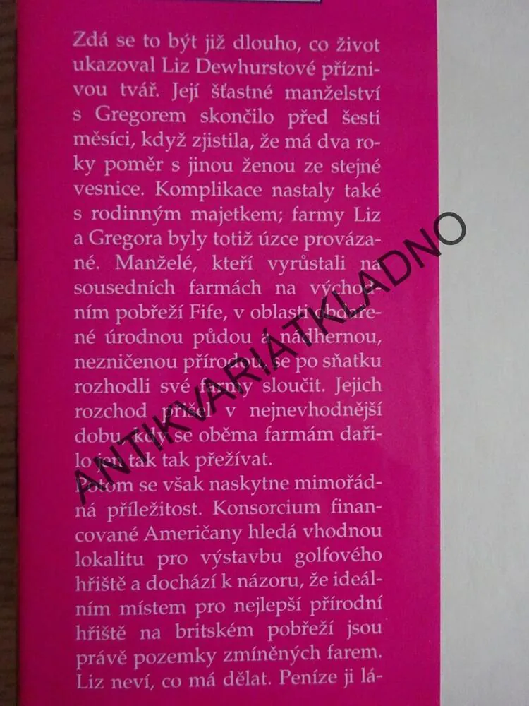 ZAČÍT ZNOVU, ROBIN PILCHER, **an