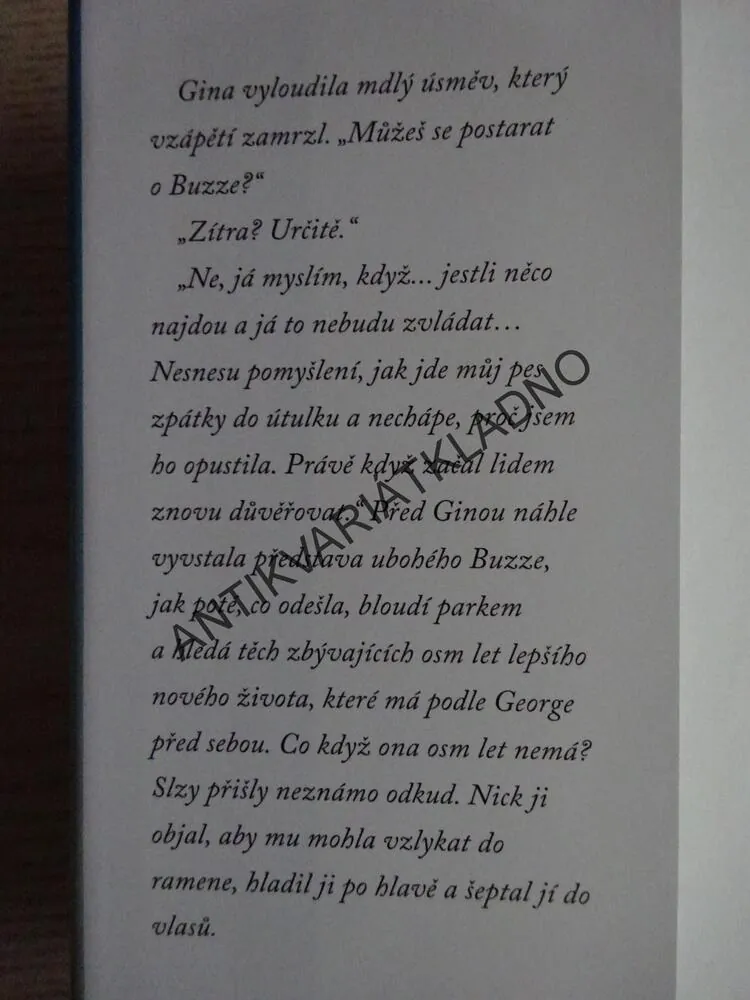 NA STO KUSŮ, LUCY DILLONOVÁ, **an
