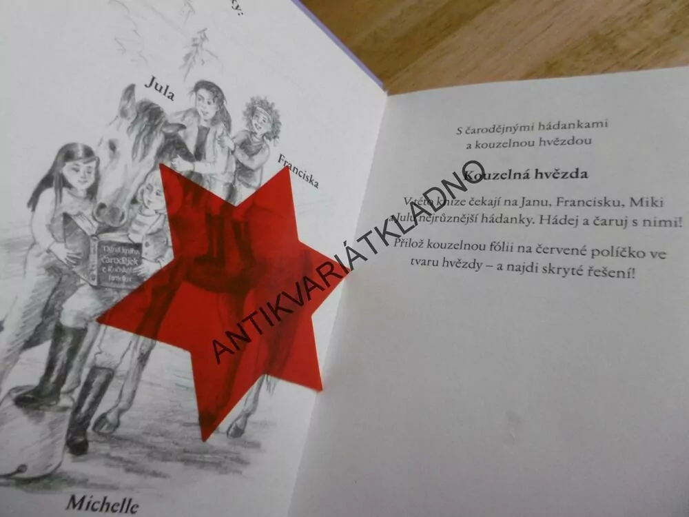 ČARODĚJKY Z JEZDECKÉ ŠKOLY, TAJNÁ LÁSKA, CAROLA VON KESSEL