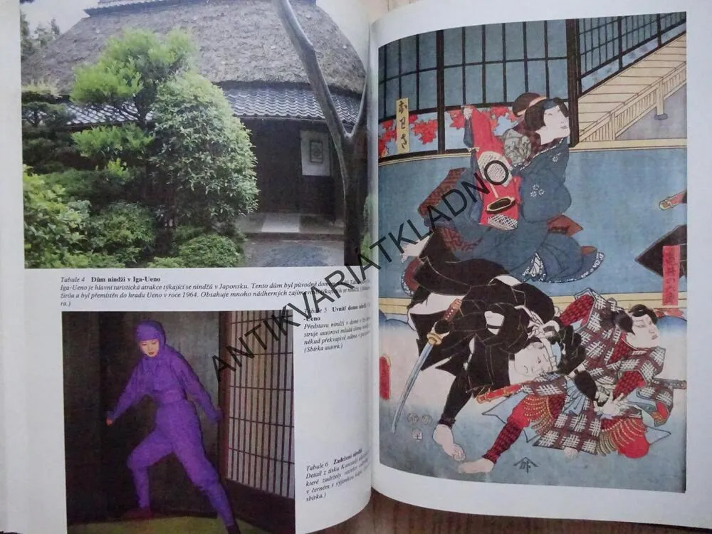 NINDŽA, KULT JAPONSKÉHO TAJNÉHO BOJE BEZ PŘÍKRAS, STEPHEN TURNBULL, **an