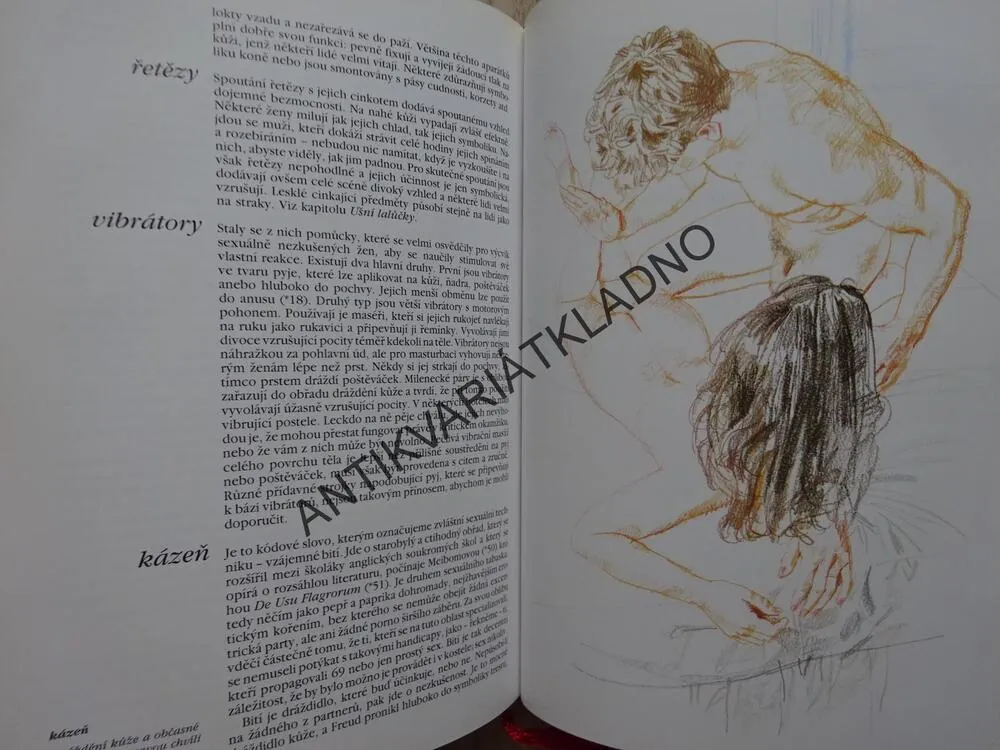 NOVÁ RADOST ZE SEXU, LÁSKA MILOVÁNÍ, ALEX COMFORT, **an