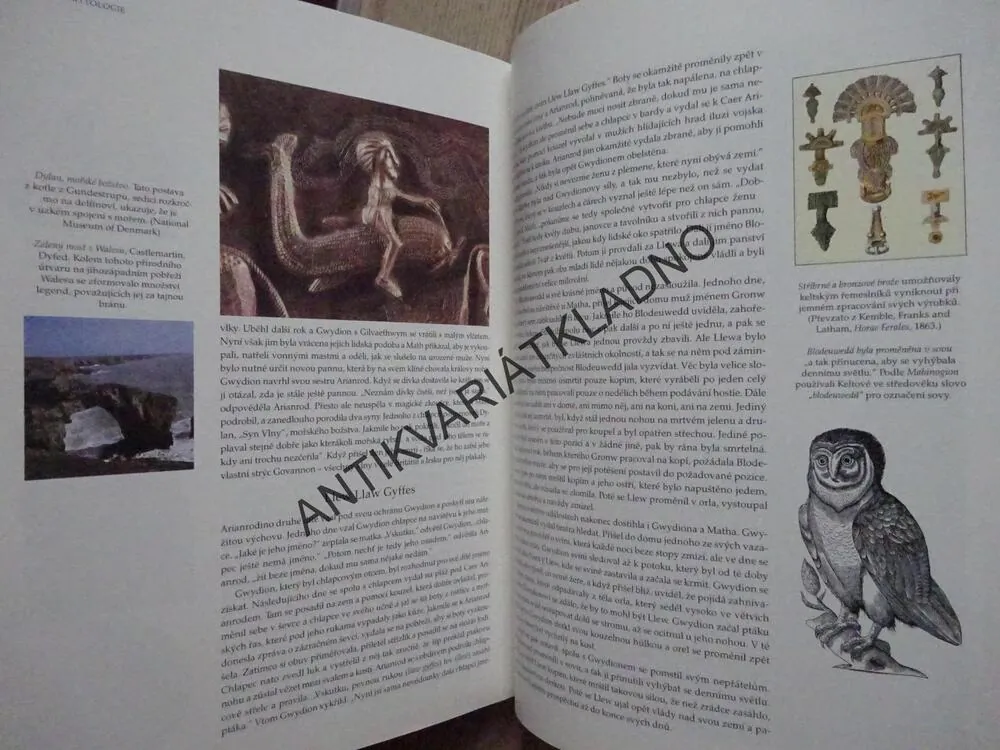 ILUSTROVANÝ PRŮVODCE KELTSKOU MYTOLOGIÍ, T.W.ROLLESTON, **an