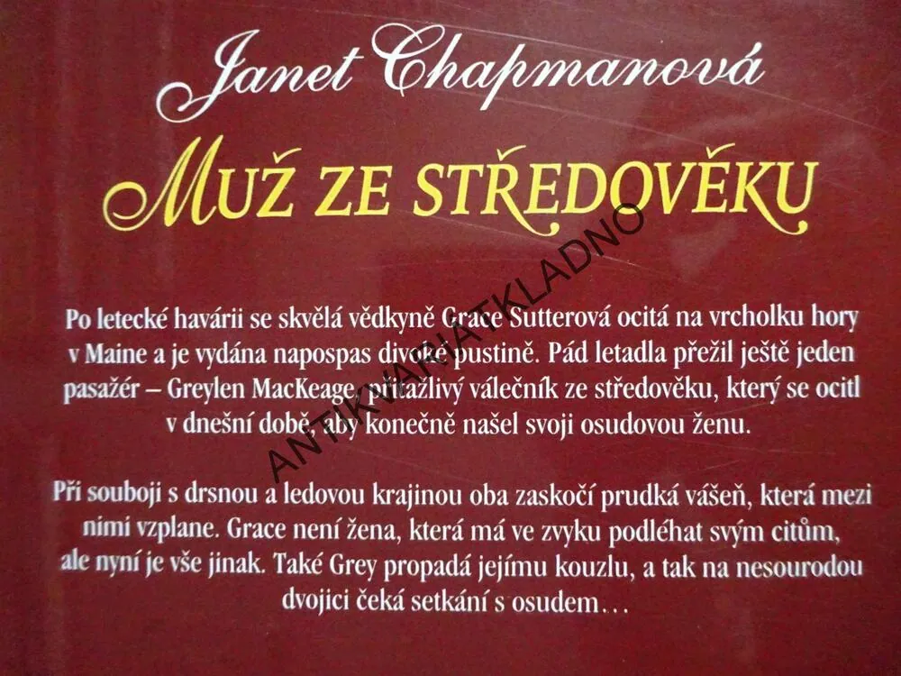 MUŽ ZE STŘEDOVĚKU, JANET CHAPMANOVÁ,**an