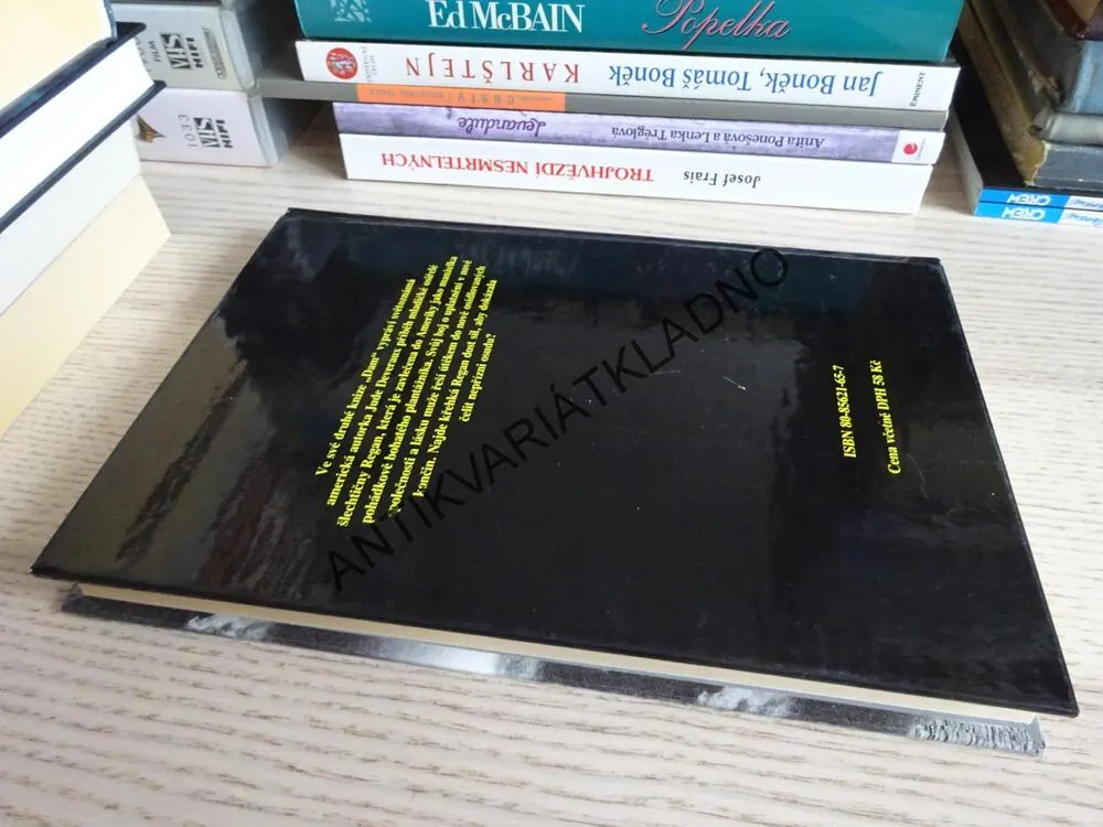 ZTRACENÁ DÁMA, JUDE DEVERAUX, **an