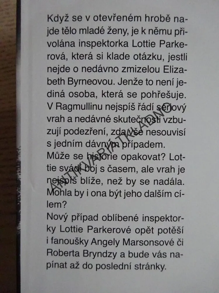 NEBEZPEČNÁ MÍSTA, PATRICIA GIBNEYOVÁ, **an