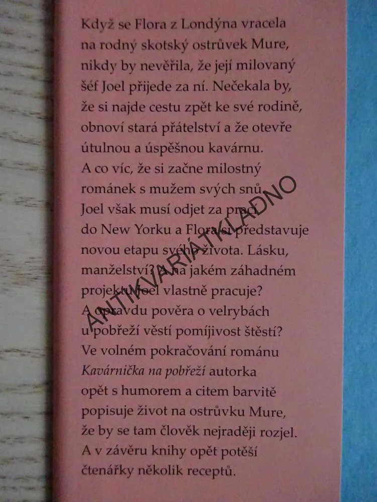 NEKONEČNÁ PLÁŽ, JENNY COLGANOVÁ, **an