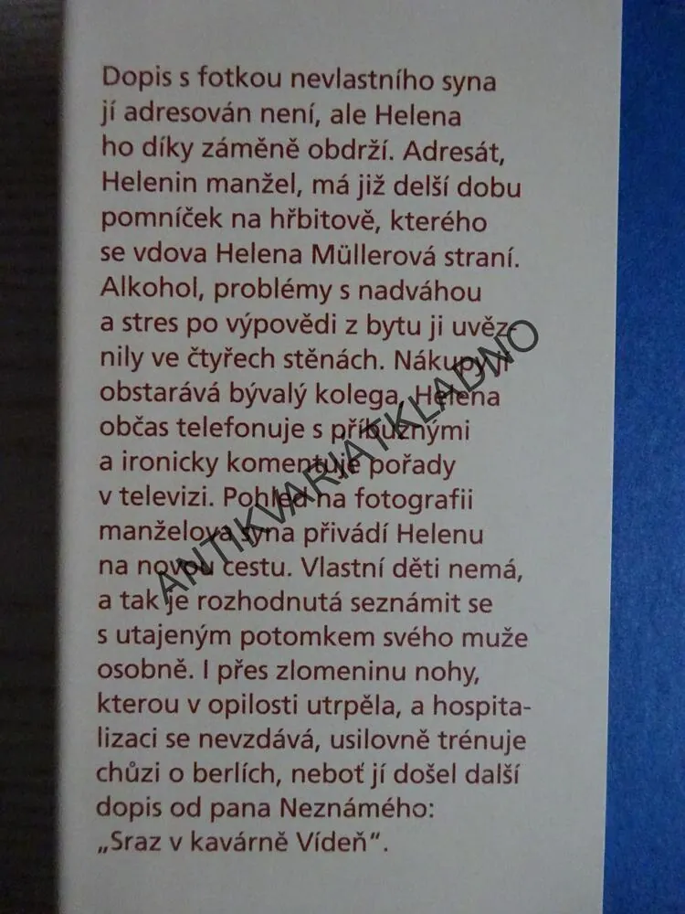 SRAZ V KAVÁRNĚ VÍDEŇ, ZUZANA ZIMMERMANNOVÁ, **an