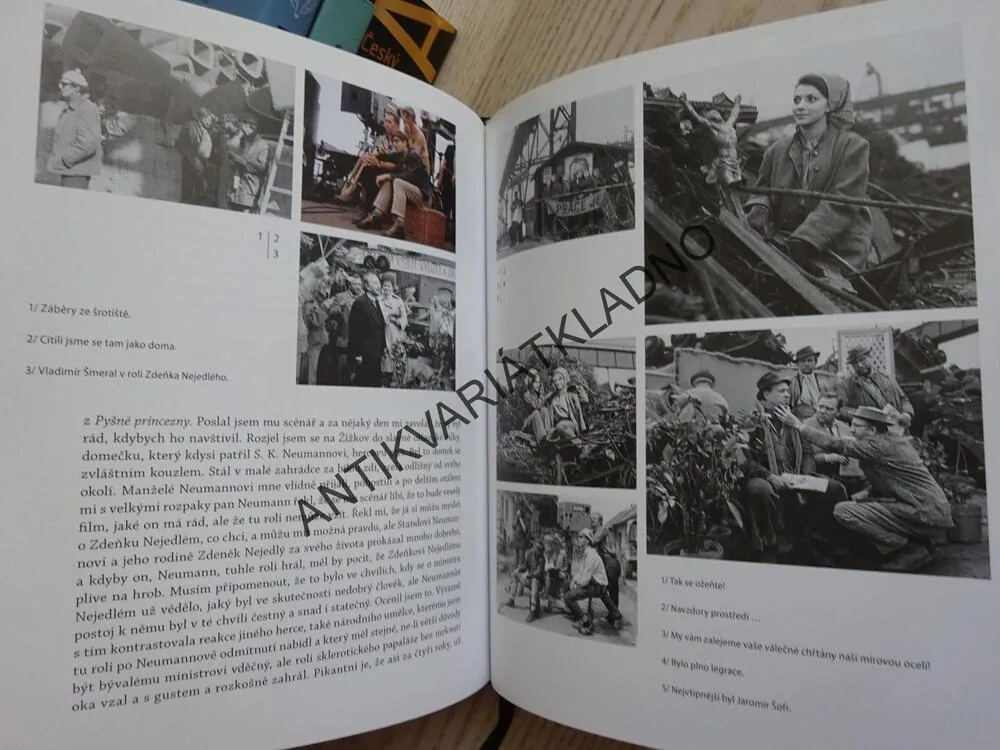 ROZMARNÁ LÉTA, JIŘÍ MENZEL, **an