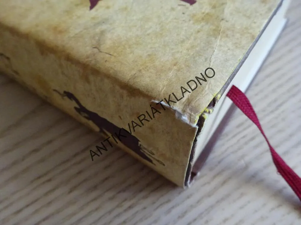 ZLODĚJKA KNIH, MARKUS ZUSAK, **an