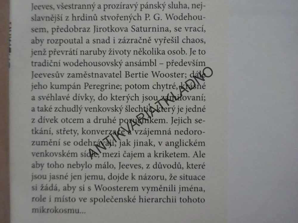 JEEVES A SVATEBNÍ ZVONY, SEBASTIAN FAULKS, **an