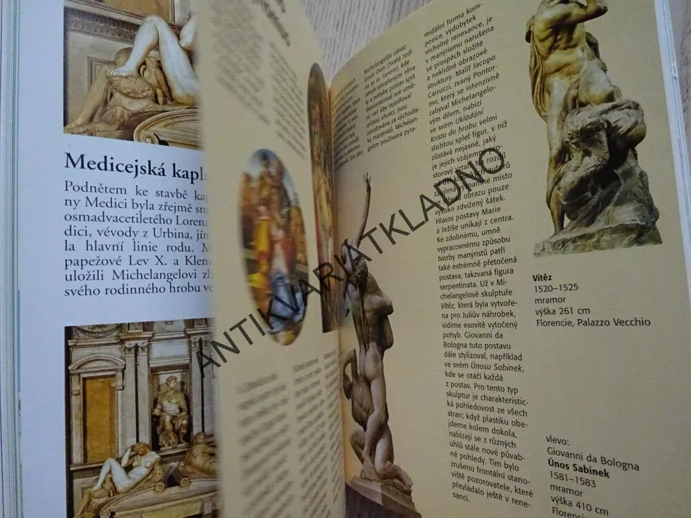 MICHELANGELO, MALÝ UMĚLECKÝ PRŮVODCE, **an
