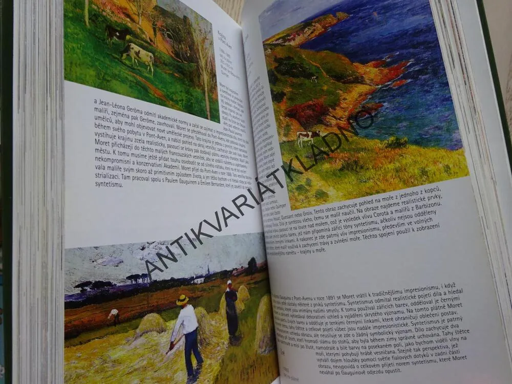 MISTŘI SVĚTOVÉHO MALÍŘSTVÍ, IMPRESIONISMUS, MELISSA RICKETTS, **an
