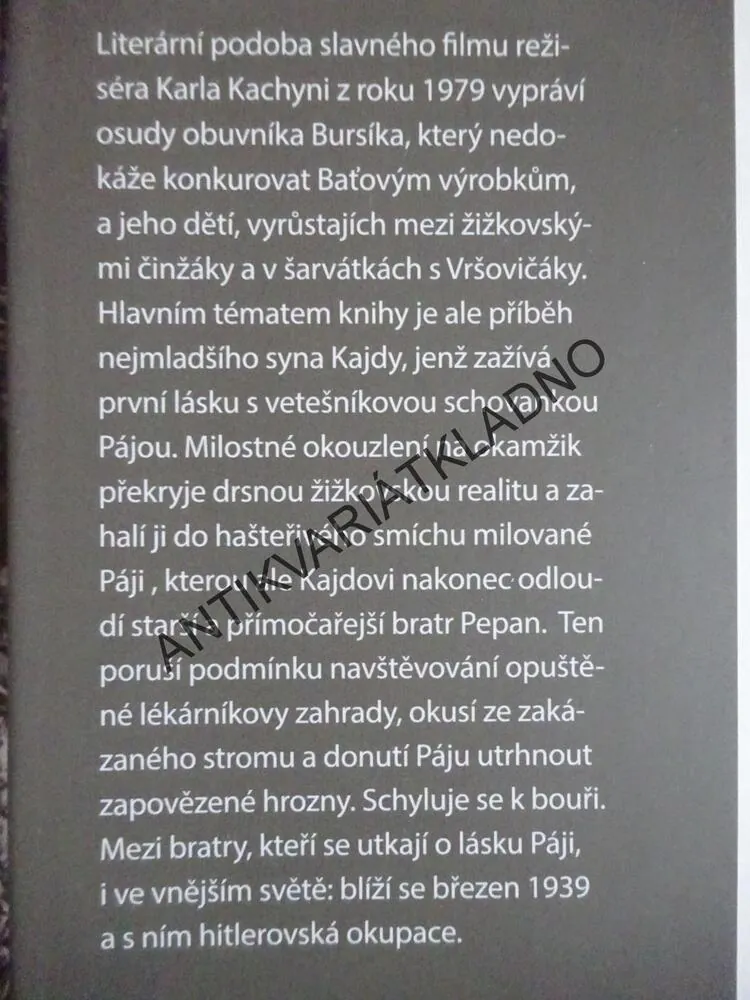 LÁSKY MEZI KAPKAMI DEŠTĚ, JAN OTČENÁŠEK, **an