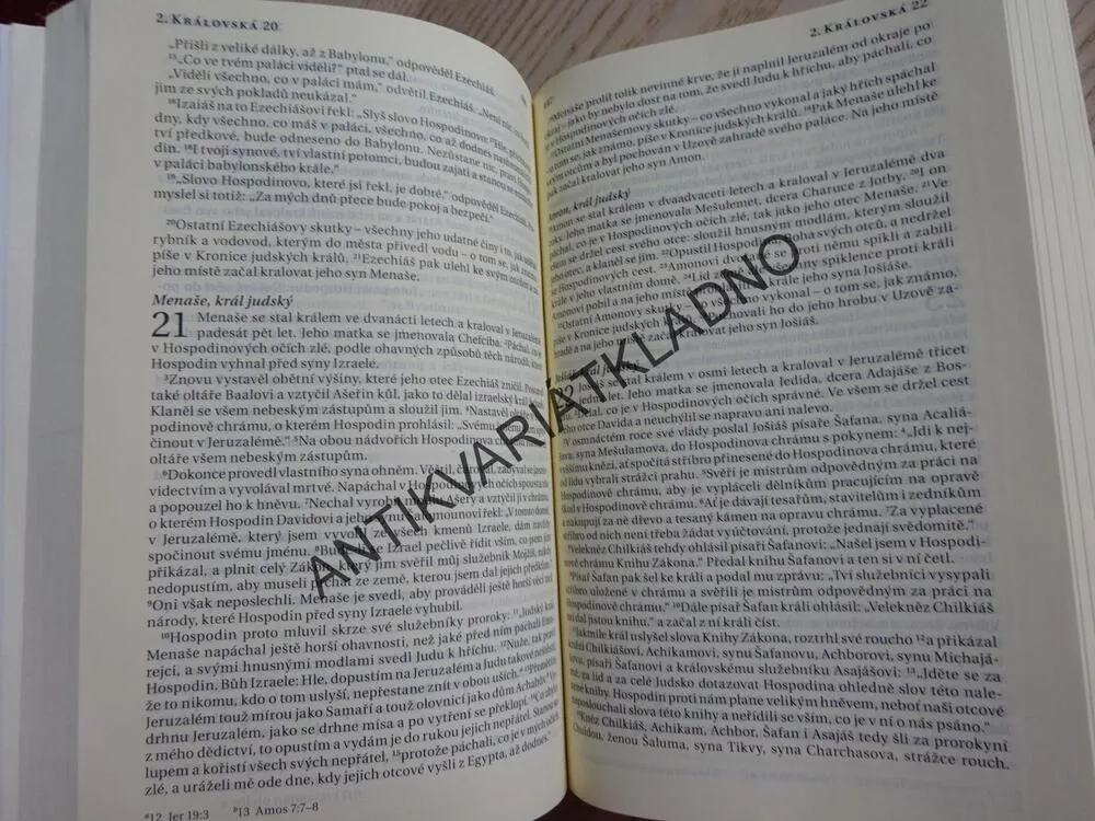 BIBLE, PŘEKLAD 21. STOLETÍ, **an