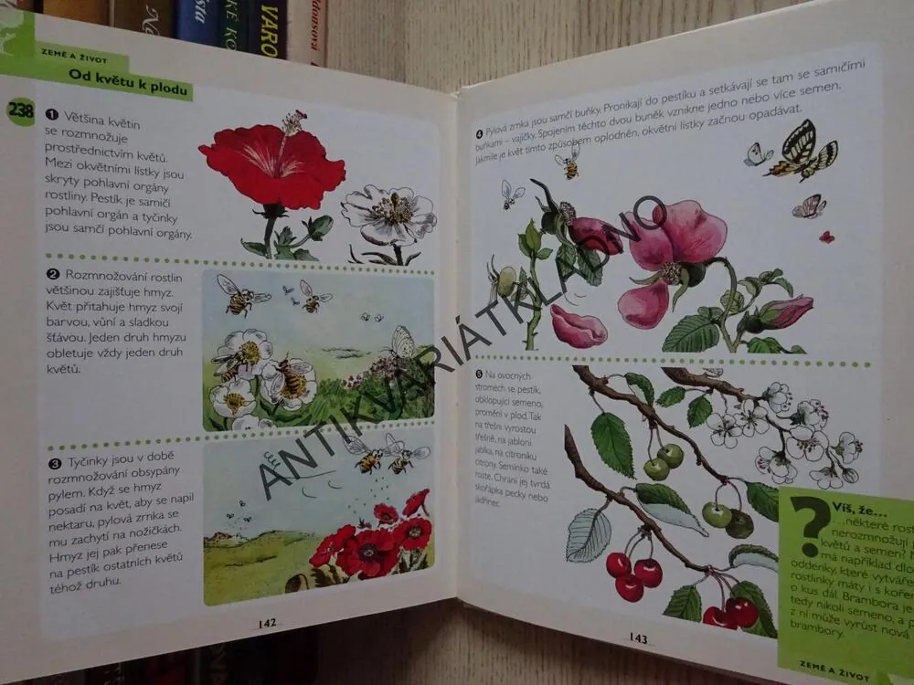 MOJE PRVNÍ ENCYKLOPEDIE LAROUSSE, JAK SE CO DĚLÁ?, **an
