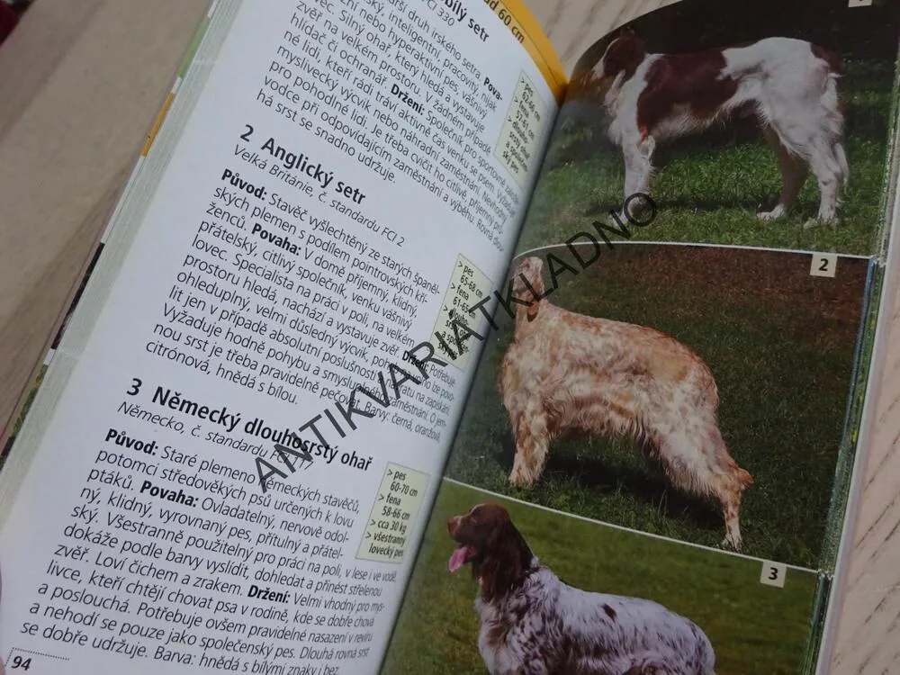 POZNÁVÁME PLEMENA PSŮ, EVA-MARIA VOGELEROVÁ, **an