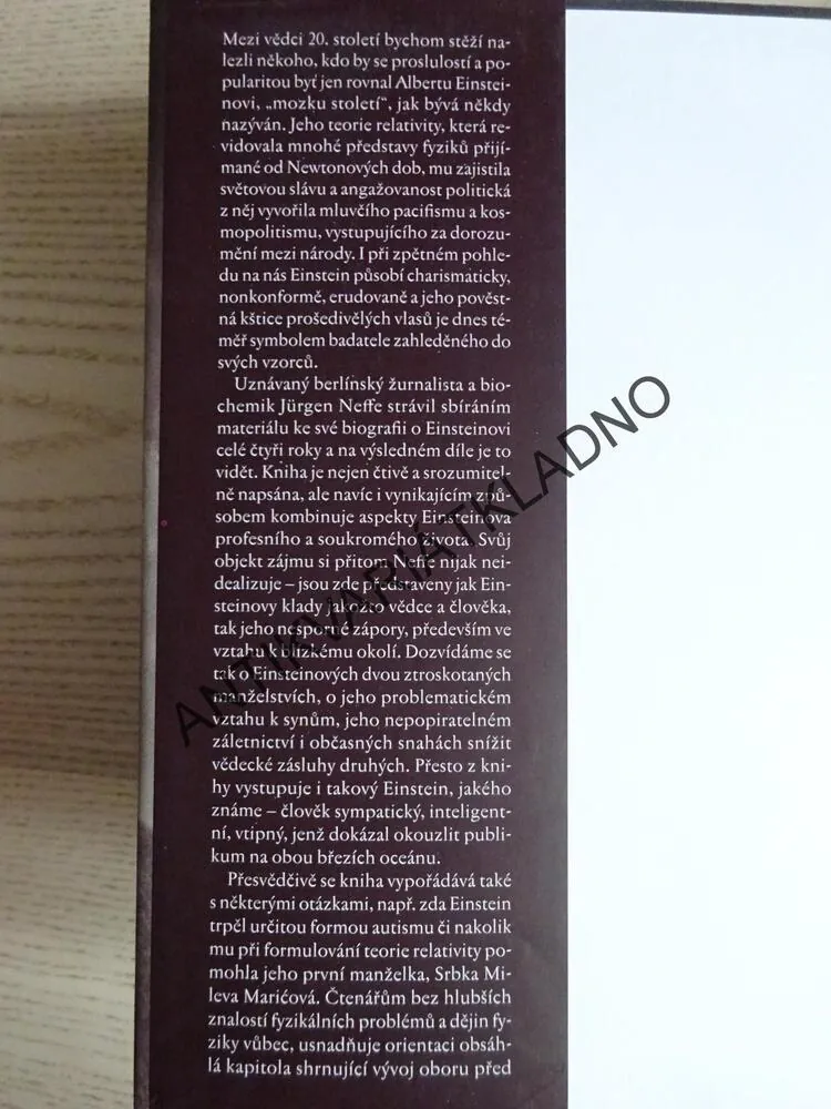 EINSTEIN, JÜRGEN NEFFE, **an