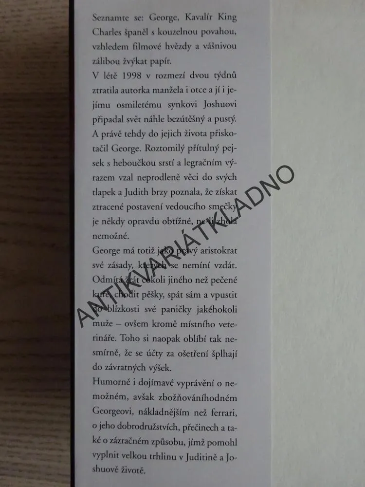 MŮJ ŽIVOT S GEORGEM, JUDITH SUMMERSOVÁ, **an