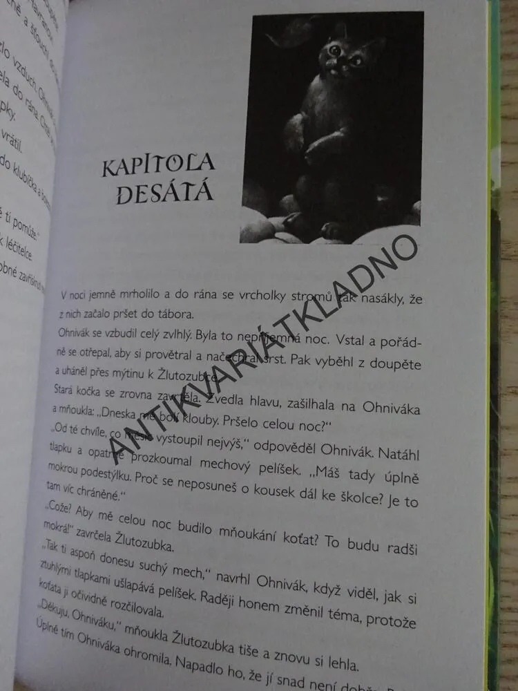 DIVOKÉ KOČKY, ERIN HUNTEROVÁ, **an